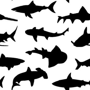 Sharks // Large