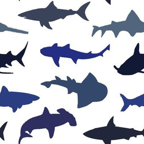 Sharks - Blue Shades // Large