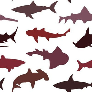 Sharks - Red Shades // Large