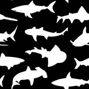 Sharks - Black // Large