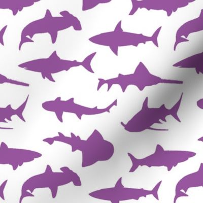 Purple Sharks // Small