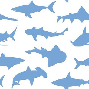 Blue Sharks // Large