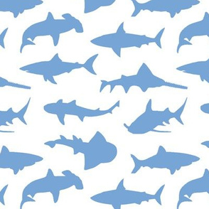 Blue Sharks // Small
