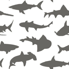 Grey Sharks // Large