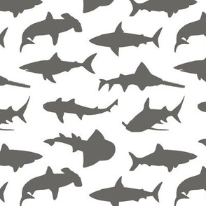 Grey Sharks // Small