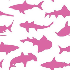 Pink Sharks // Large