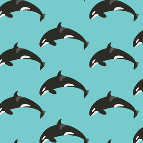 orca pattern