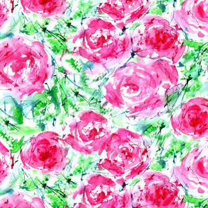 Blooming roses, watercolor