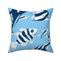 Reef fish (blue)