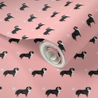 bernese mountain dog dog breed fabric funny fart pink