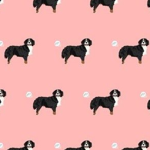 bernese mountain dog dog breed fabric funny fart pink