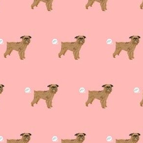 brussels griffon dog breed funny fart pink