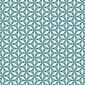 Snowflake Like Pattern