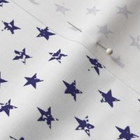 Distressed Navy Stars