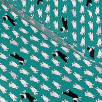 Medium Scale Border Collies and Sheep on Teal