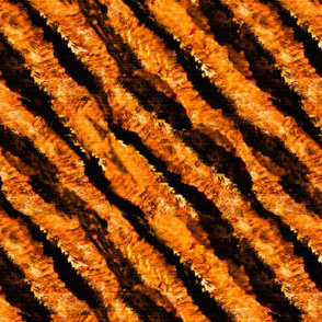 Endangered Tiger stripes orange