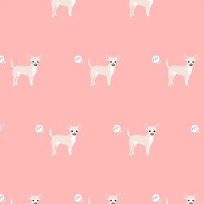 chihuahua fart funny white coat dog breed fabric pink