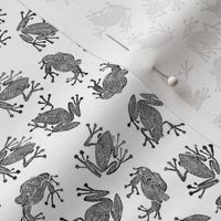 small frogs - black and white