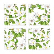 Magnolia Flowers, Bright White, Large Floral Print