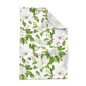 Magnolia Flowers, Bright White, Large Floral Print