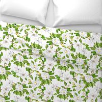 Magnolia Flowers, Bright White, Large Floral Print