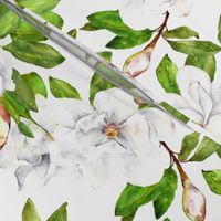 Magnolia Flowers, Bright White, Large Floral Print