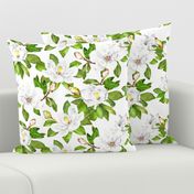 Magnolia Flowers, Bright White, Large Floral Print