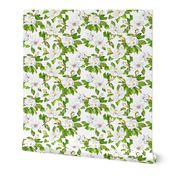 Magnolia Flowers, Bright White, Large Floral Print