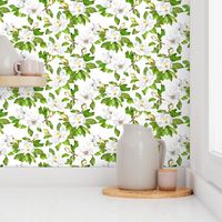 Magnolia Flowers, Bright White, Large Floral Print