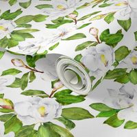 Magnolia Flowers, Bright White, Large Floral Print