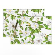 Magnolia Flowers, Bright White, Large Floral Print