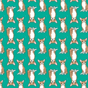 Chihuahua Dog Unisex Kids Design on Teal