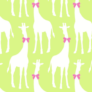 White Giraffes with Pink Bows (Larger version)