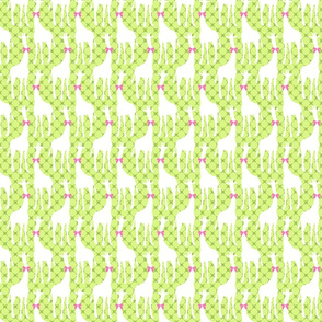 White Giraffes with Pink Bows on Green