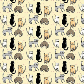 Cat Pattern