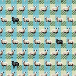 Black and White Sheep on Blue Yellow Green Gingham Check, Whimsical Farmhouse Pattern, Sheep Grazing Fun Barnyard Charm, Black and White Sheep, Odd One Out, Knitting Jumper Lover Humor, Woolly Sheep Fun, Quirky Farm Yard Animal Magic