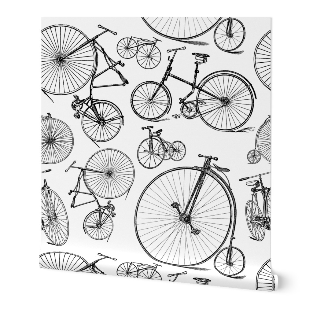 Antique Bikes & Bicycles  (Large Print Size)