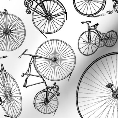 Antique Bikes & Bicycles  (Large Print Size)
