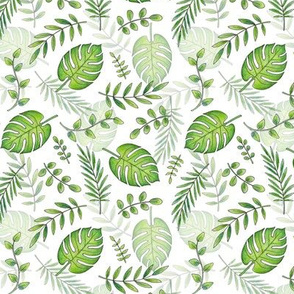 Monstera Leafy pattern Green on White