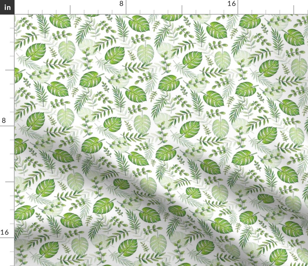 Monstera Leafy pattern Green on White