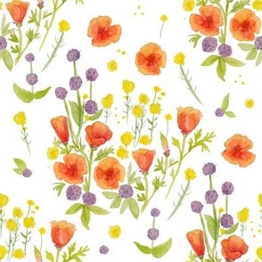 wildflowers watercolor on white / nursery baby kids floral design