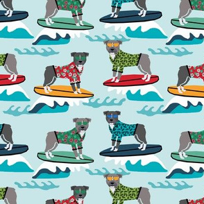 pitbull surfing summer beach dog breed pibble fabric 1