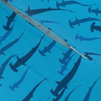 Hammerhead Migration