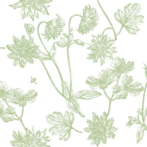 Jacomina Toile basil 1