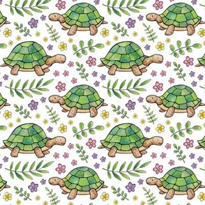 Tortoises and Flowers on White