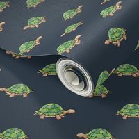 Little Tortoises on navy