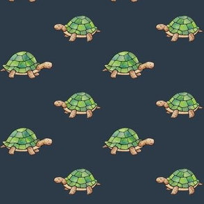 Little Tortoises on navy