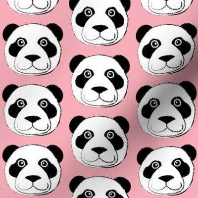 panda bear face on pink