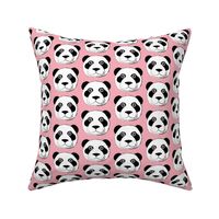 panda bear face on pink