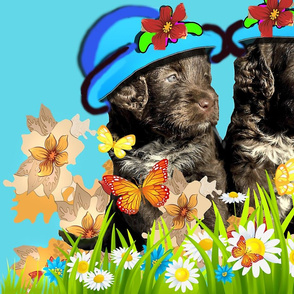 Cocker puppies with flowers